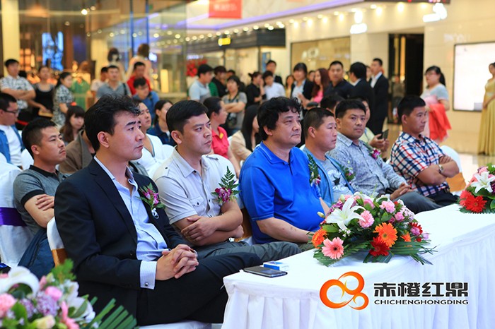 北(běi)京汽車(chē)D50珅寶沈陽上(shàng)市(shì)發布會(huì)
