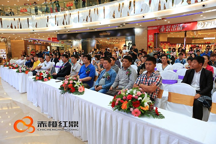 北(běi)京汽車(chē)D50珅寶沈陽上(shàng)市(shì)發布會(huì)