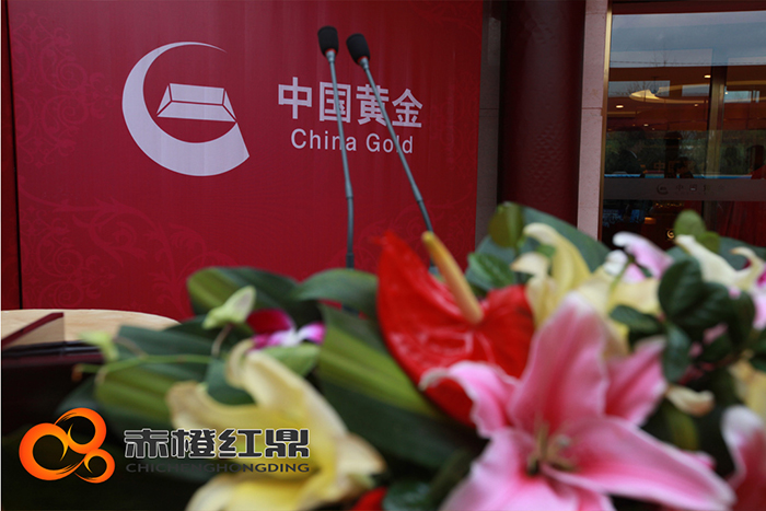 北(běi)京汽車(chē)D50珅寶沈陽上(shàng)市(shì)發布會(huì)