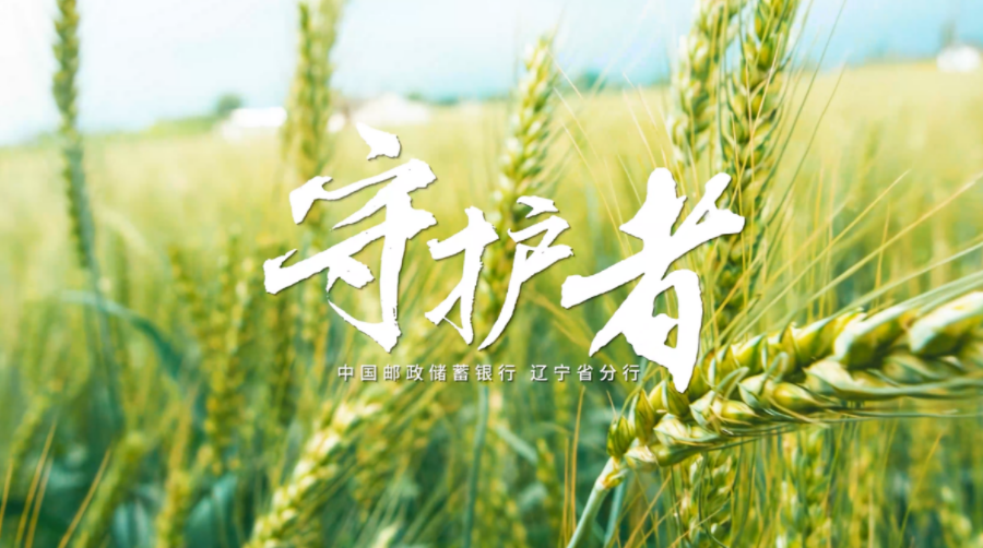 《守護者》——郵儲銀(yín)行(xíng)遼甯省分(fēn)行(xíng)2023年(nián)三農(nóng)宣傳片
